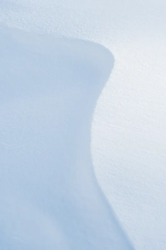 Snowline, late morning, II. 2020.